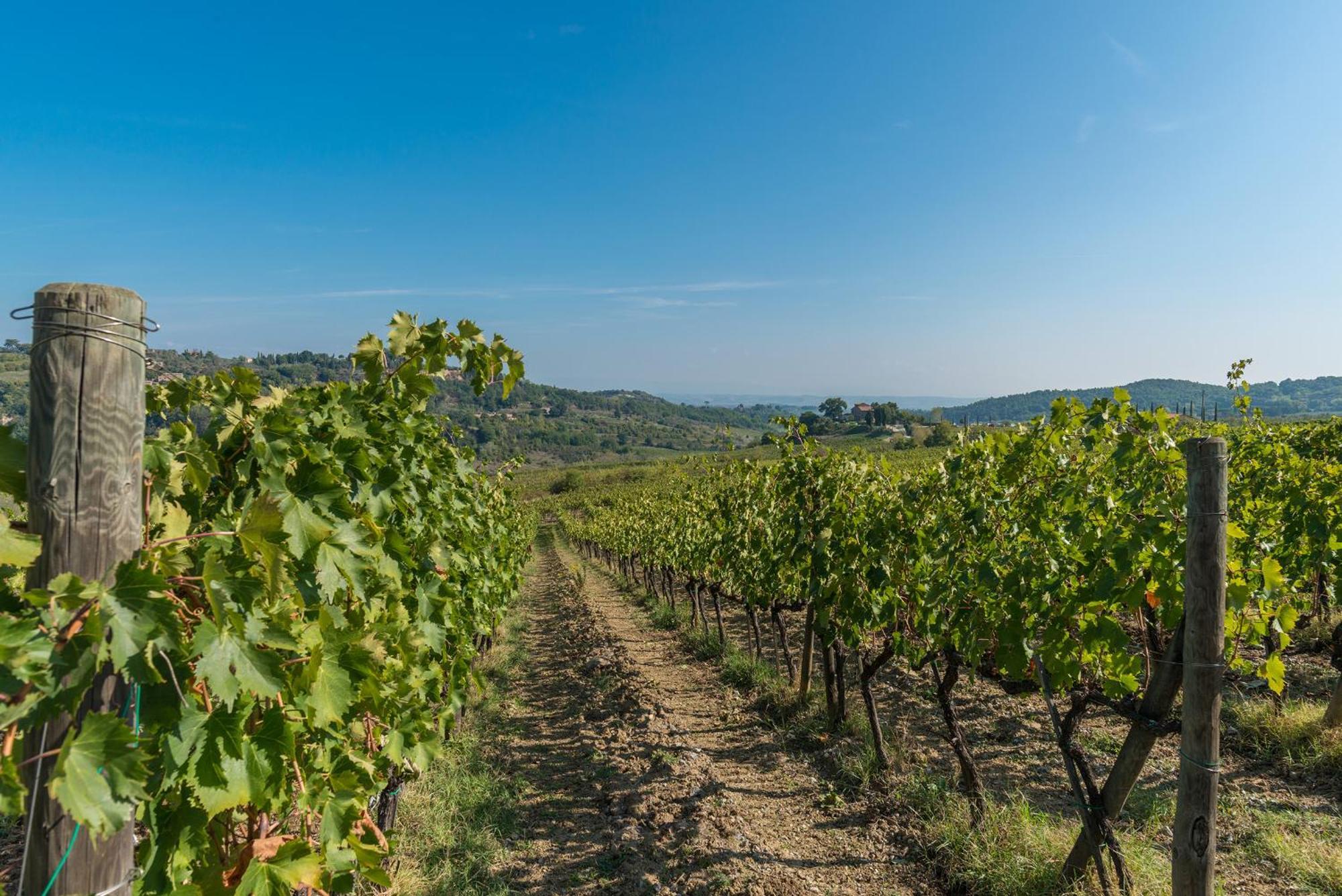 לינה וארוחת בוקר Montepulciano Stazione The Grapevine By Manvi מראה חיצוני תמונה