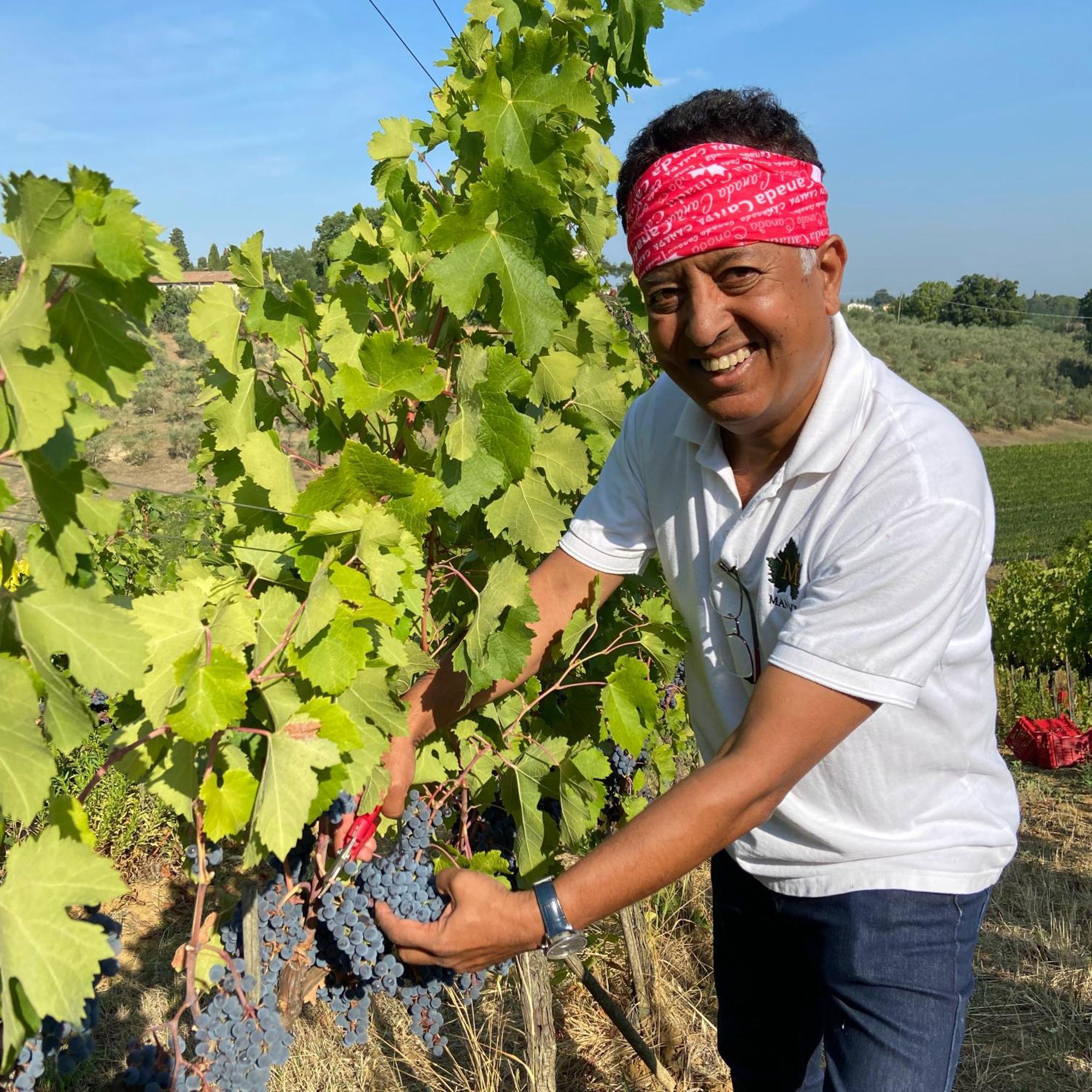 לינה וארוחת בוקר Montepulciano Stazione The Grapevine By Manvi מראה חיצוני תמונה