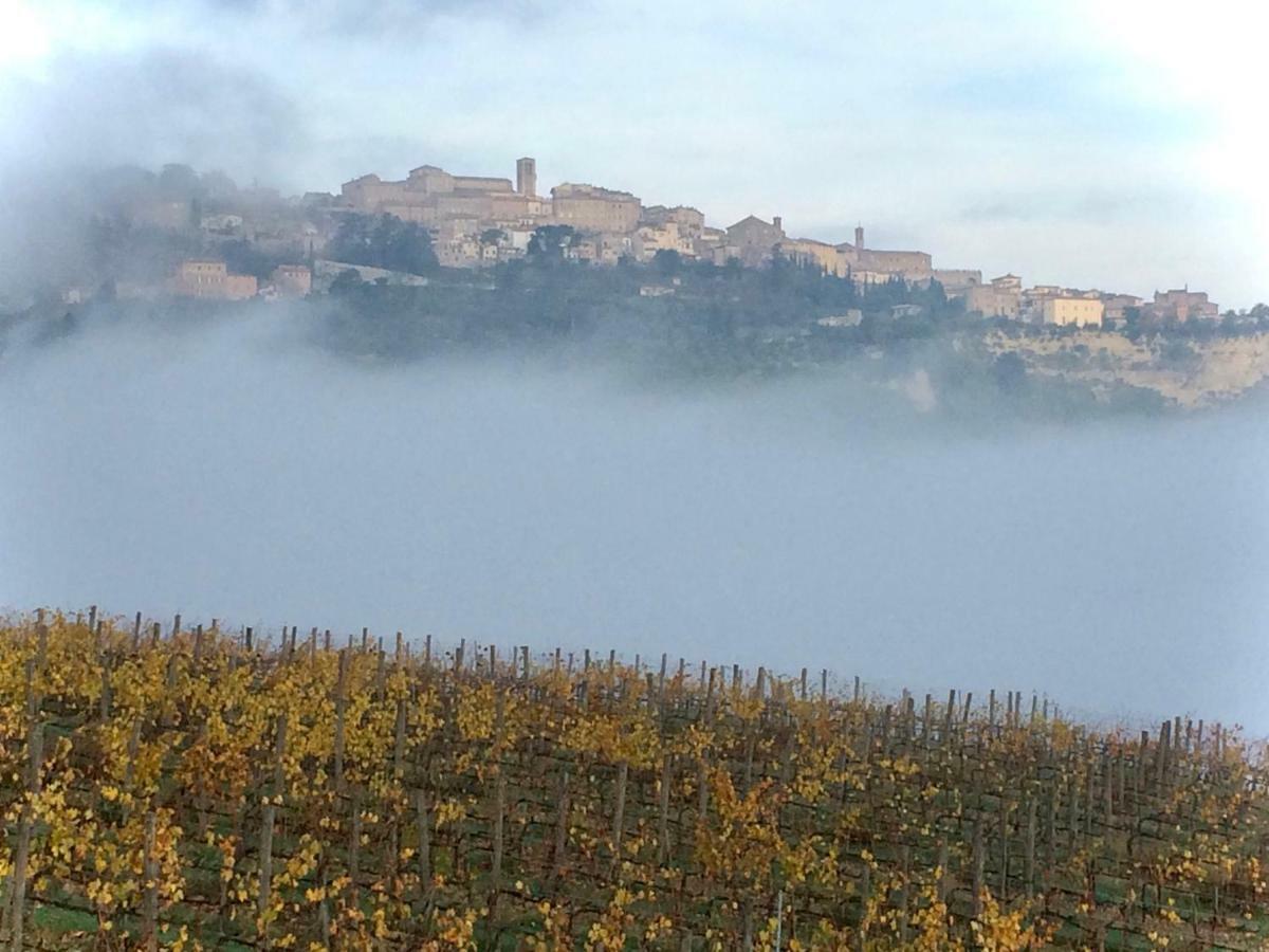 לינה וארוחת בוקר Montepulciano Stazione The Grapevine By Manvi מראה חיצוני תמונה