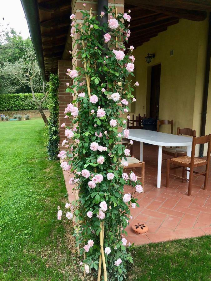לינה וארוחת בוקר Montepulciano Stazione The Grapevine By Manvi מראה חיצוני תמונה