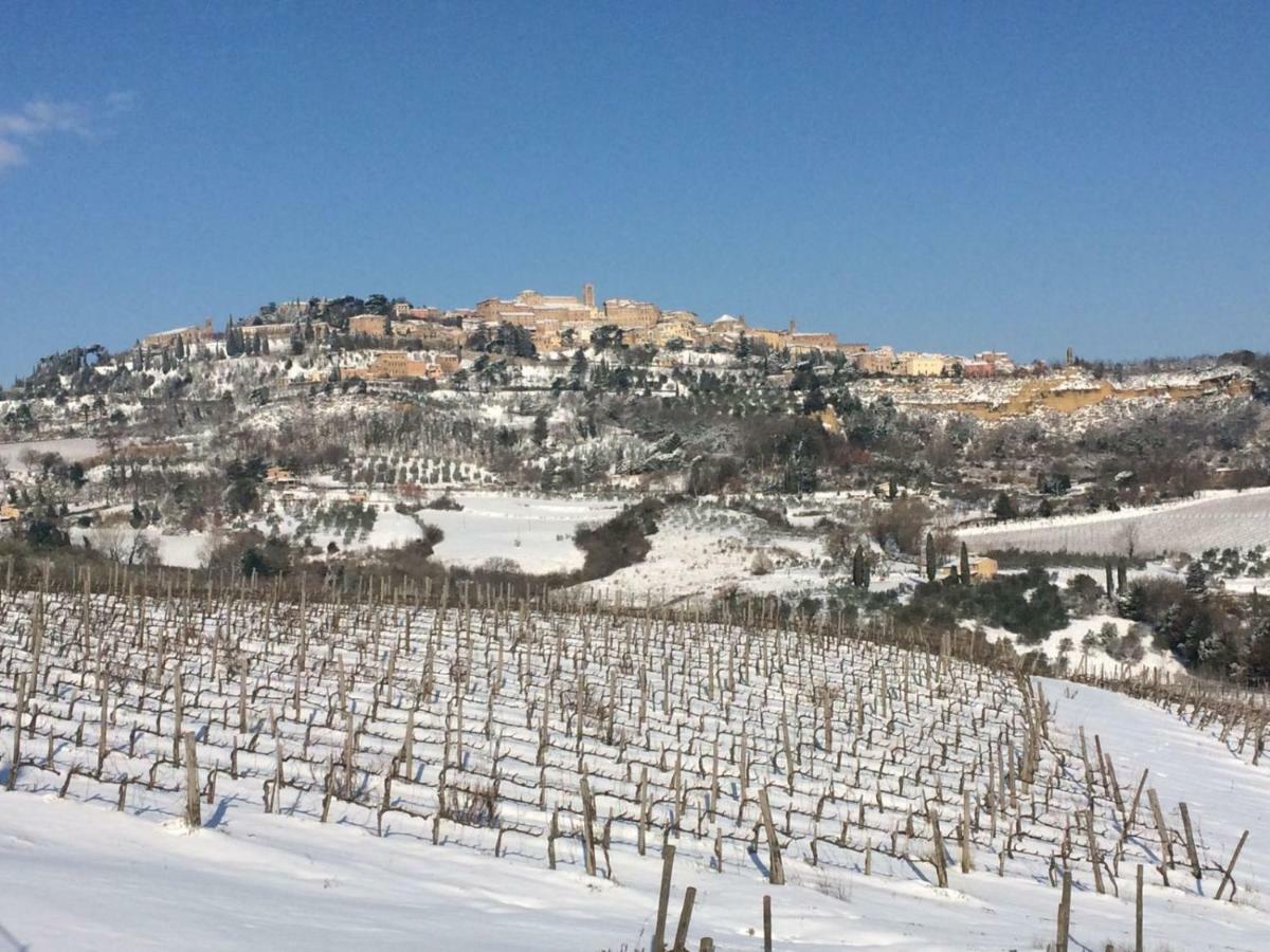 לינה וארוחת בוקר Montepulciano Stazione The Grapevine By Manvi מראה חיצוני תמונה